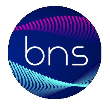 BNS